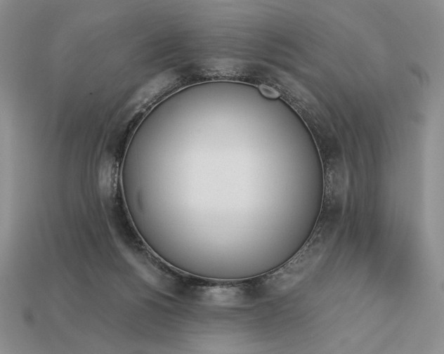 X0000113140168200909181737