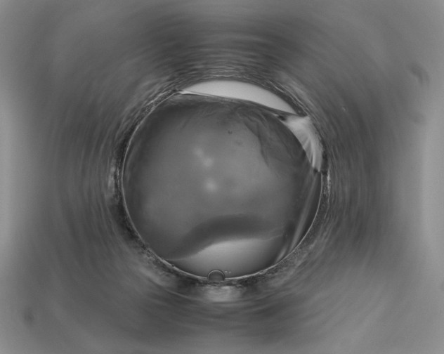 X0000113140169200909181737