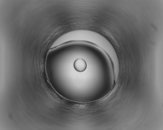 X0000113140170200909181737