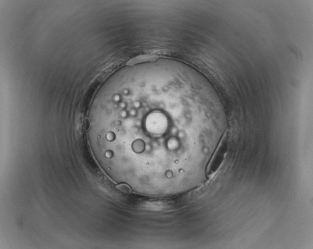 X0000113140171200909181737