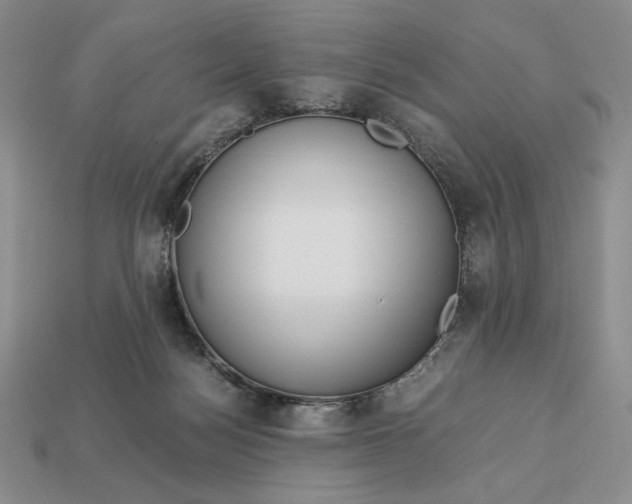 X0000113140172200909181737