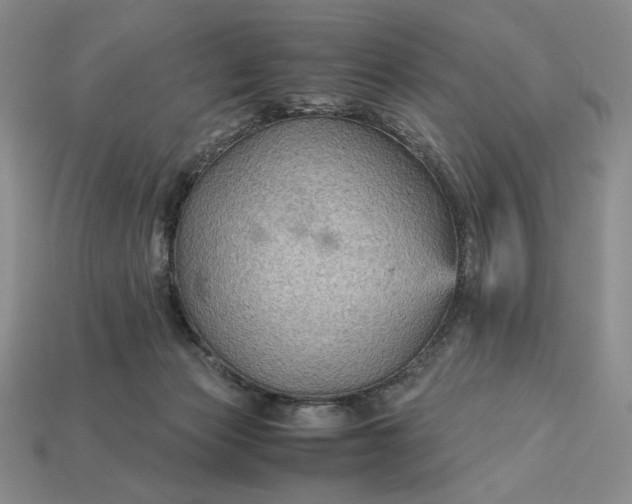 X0000113140173200909181737