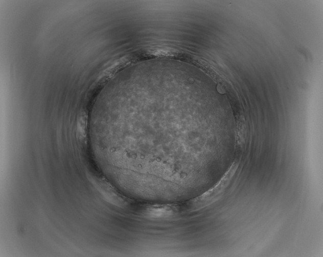 X0000113140175200909181737