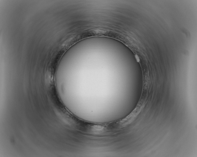 X0000113140176200909181737