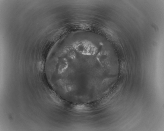 X0000113140177200909181737