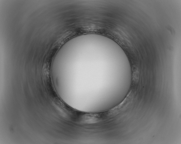 X0000113140179200909181737