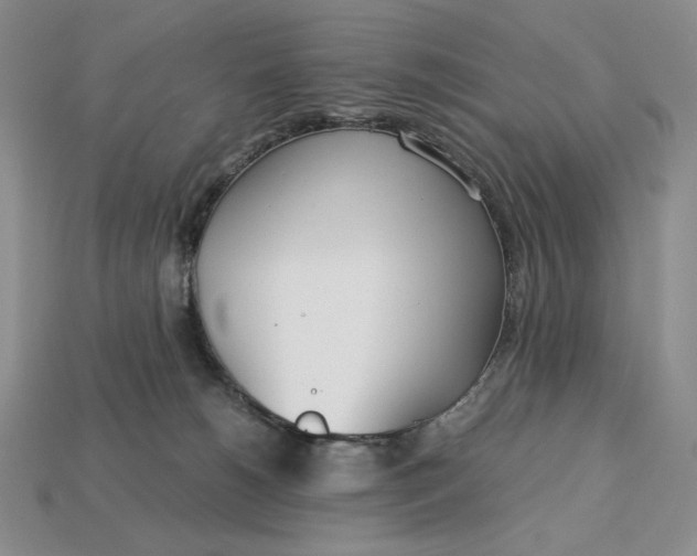 X0000113140180200909181737