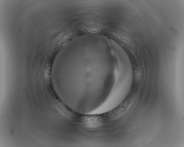 X0000113140181200909181737