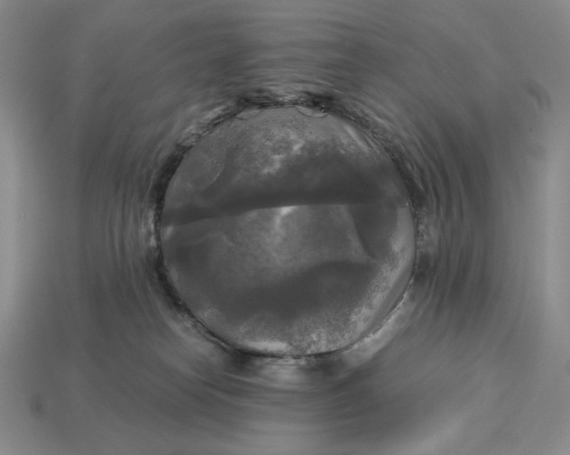 X0000113140182200909181737