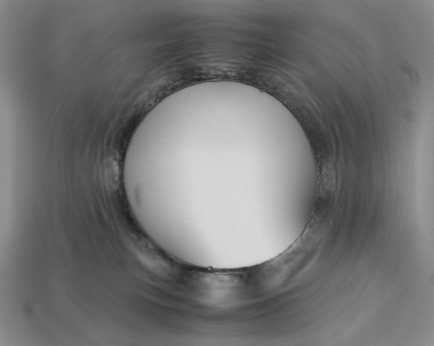 X0000113140183200909181737