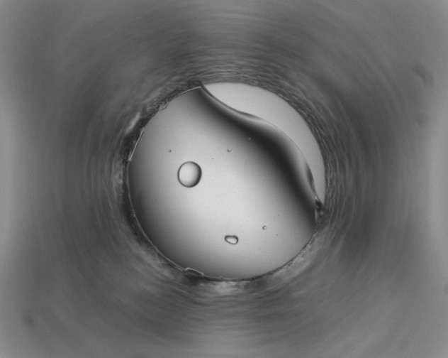 X0000113140184200909181737