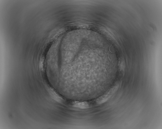 X0000113140185200909181737