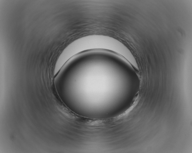 X0000113140186200909181737