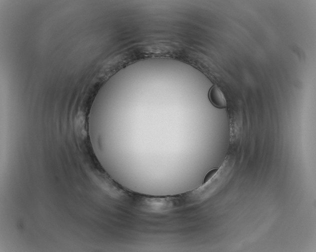 X0000113140187200909181737