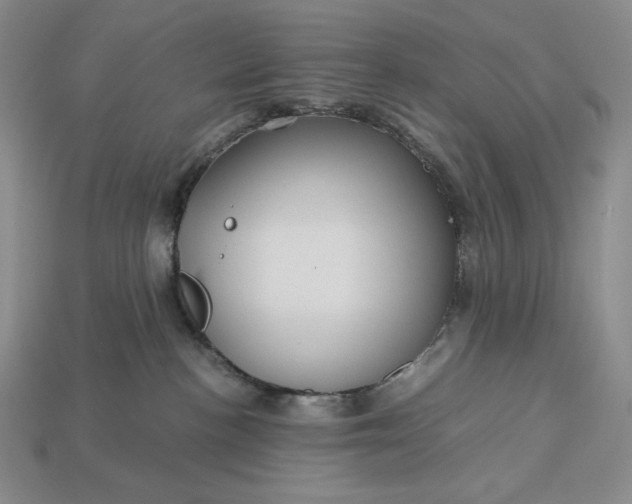 X0000113140188200909181737