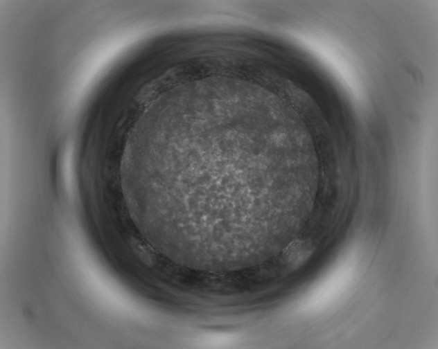 X0000113140189200909181737