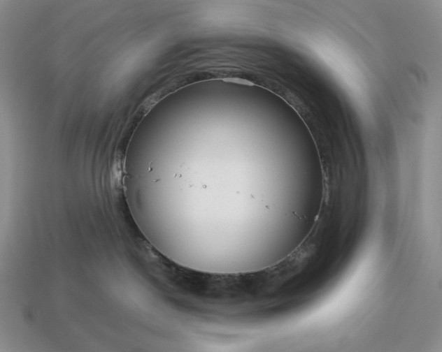 X0000113140190200909181737