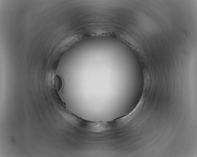 X0000113140191200909181737