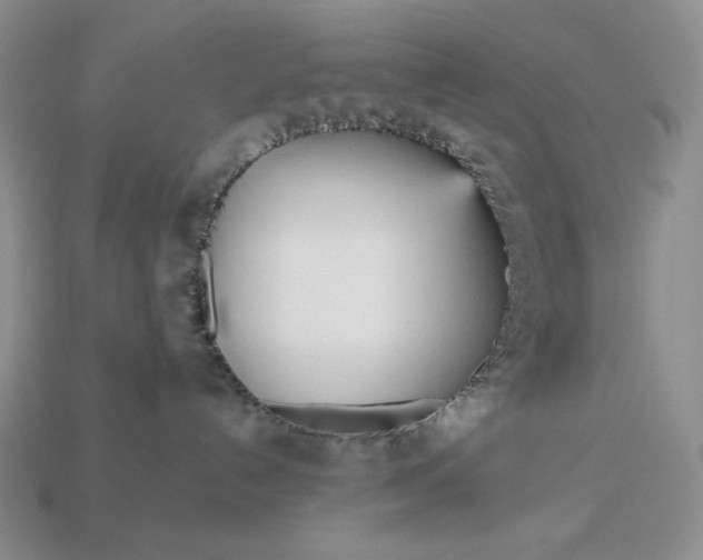 X0000113140192200909181737