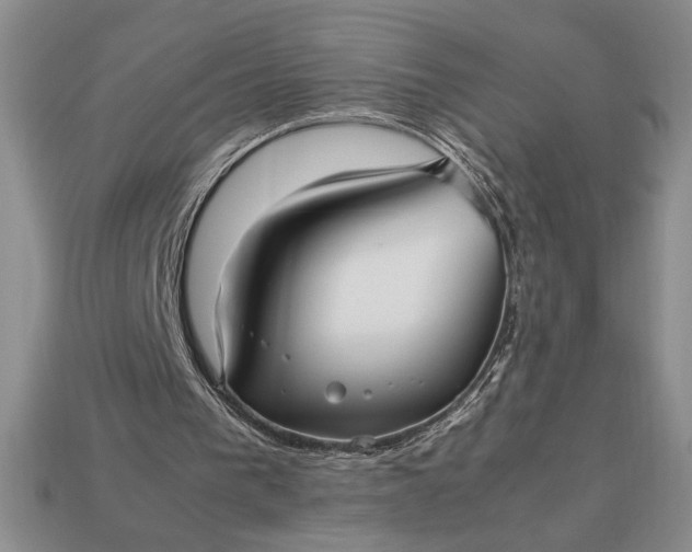 X0000113140193200909181737