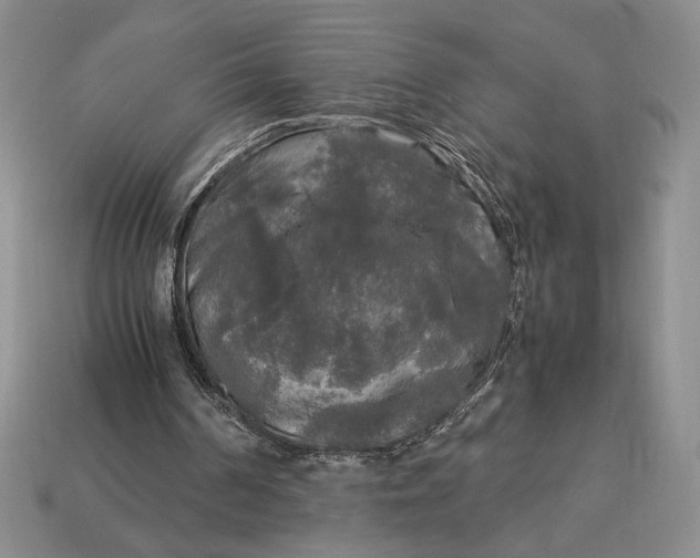 X0000113140194200909181737