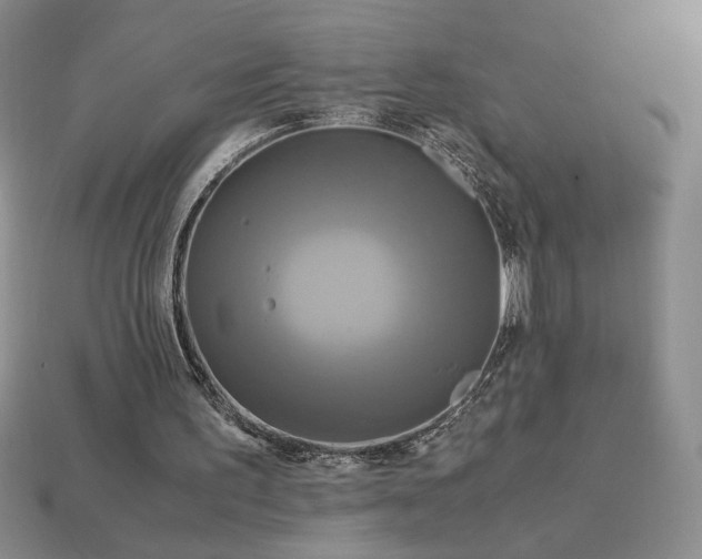 X0000113140195200909181737