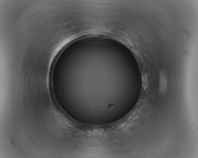 X0000113140196200909181737