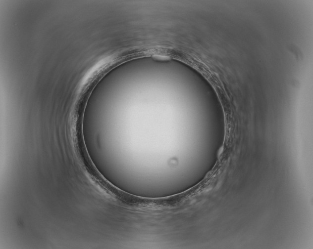 X0000113140197200909181737