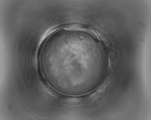 X0000113140198200909181737