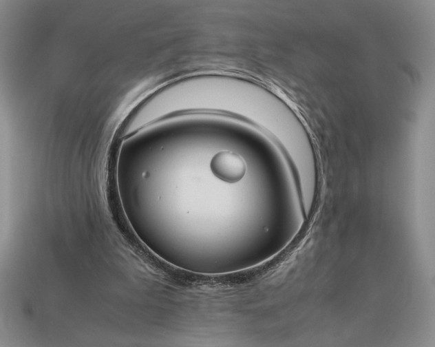 X0000113140199200909181737