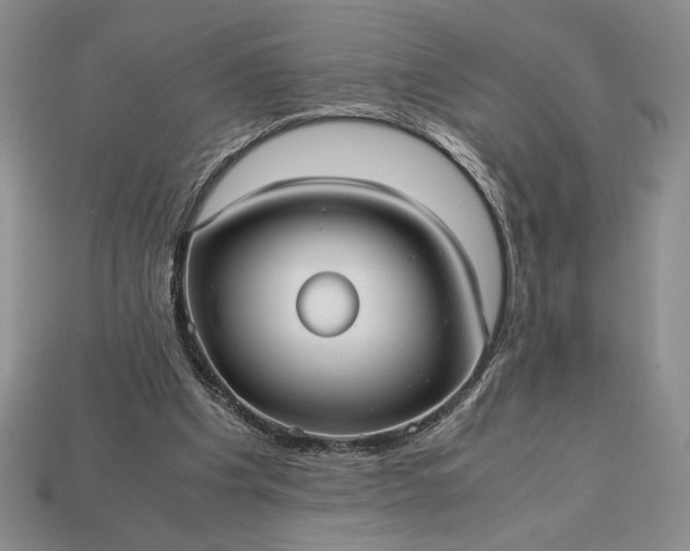 X0000113140201200909181737