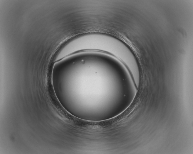 X0000113140203200909181737