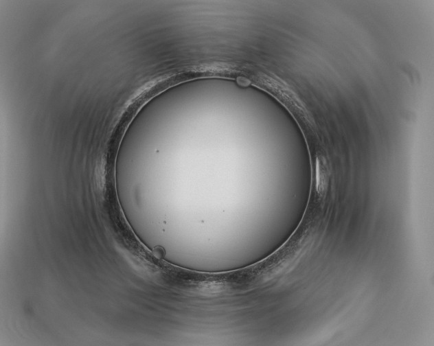 X0000113140204200909181737