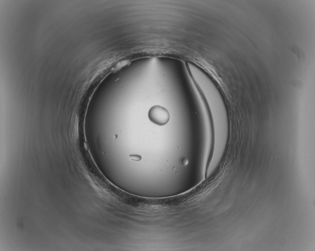 X0000113140205200909181737