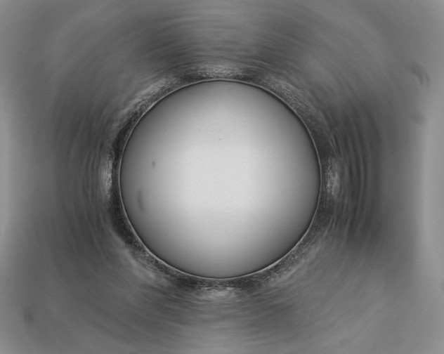 X0000113140206200909181737