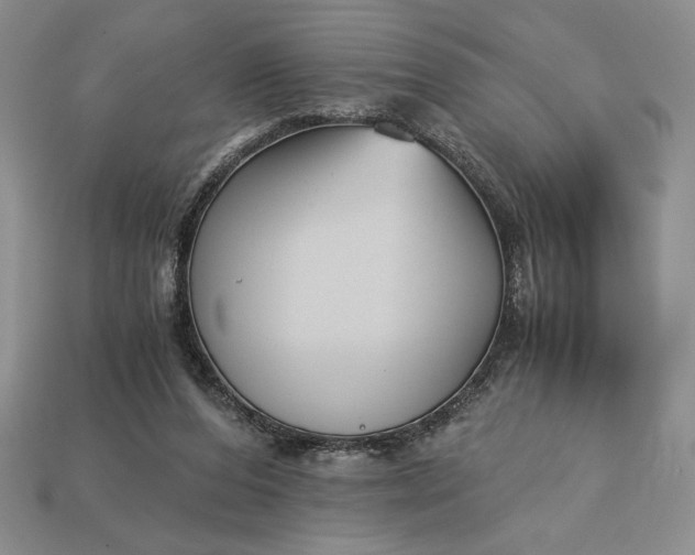 X0000113140208200909181737