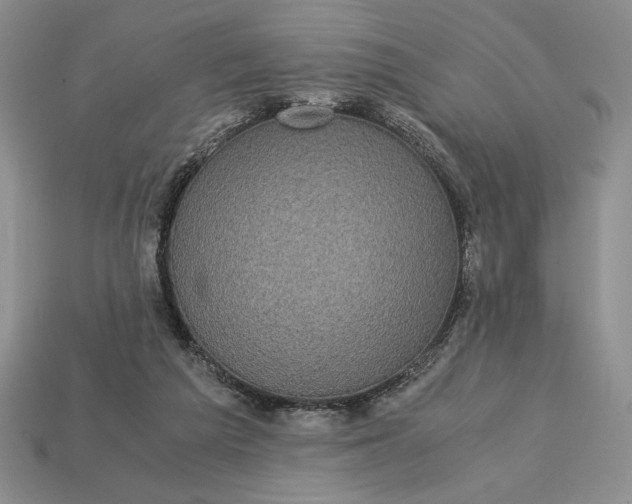 X0000113140209200909181737