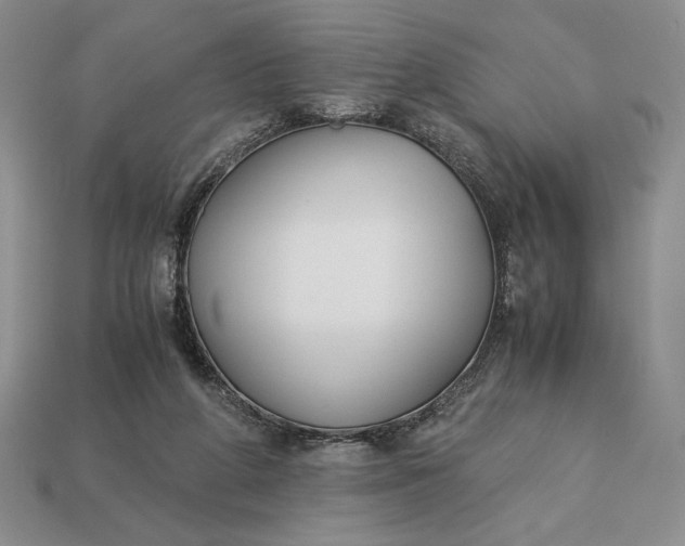 X0000113140210200909181737