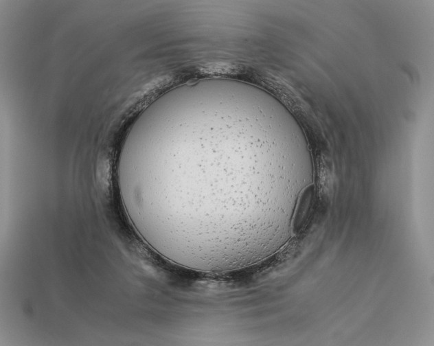 X0000113140211200909181737