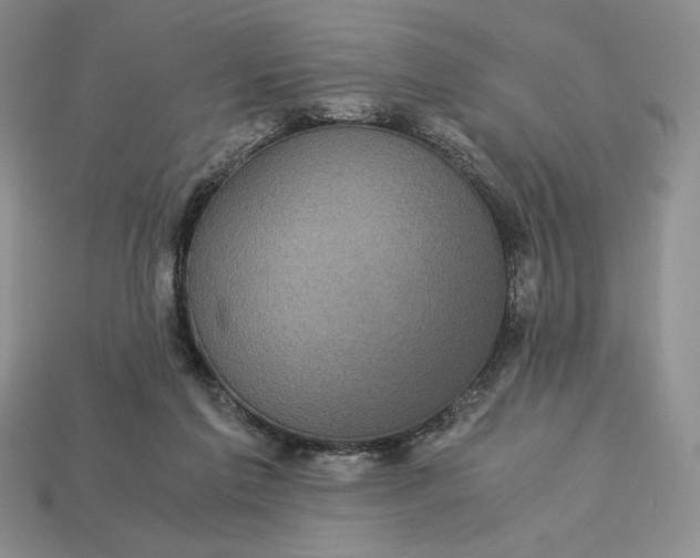 X0000113140213200909181737