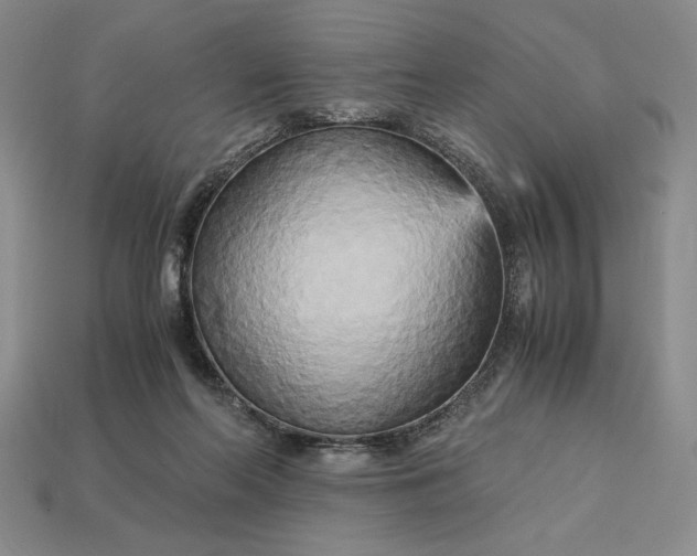 X0000113140214200909181737