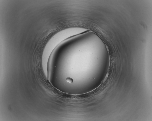 X0000113140215200909181737