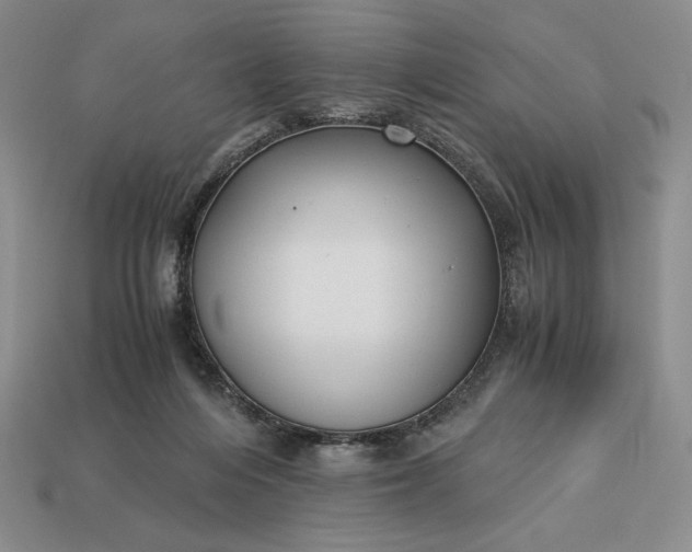 X0000113140216200909181737