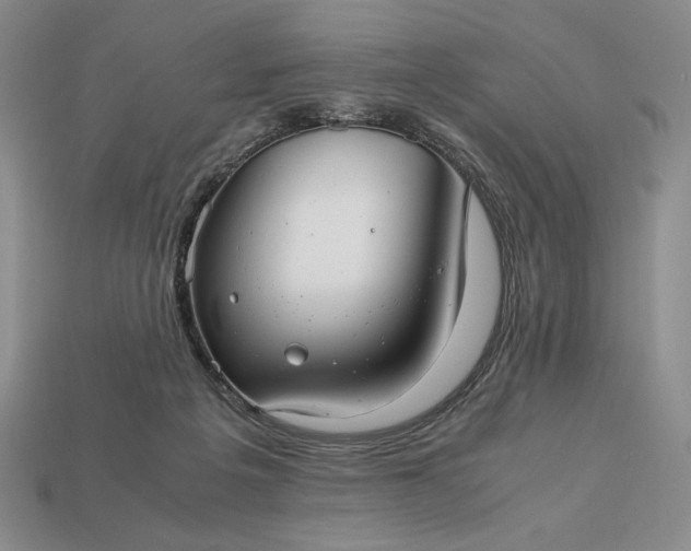 X0000113140217200909181737