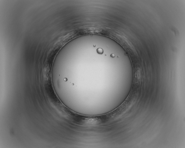 X0000113140218200909181737