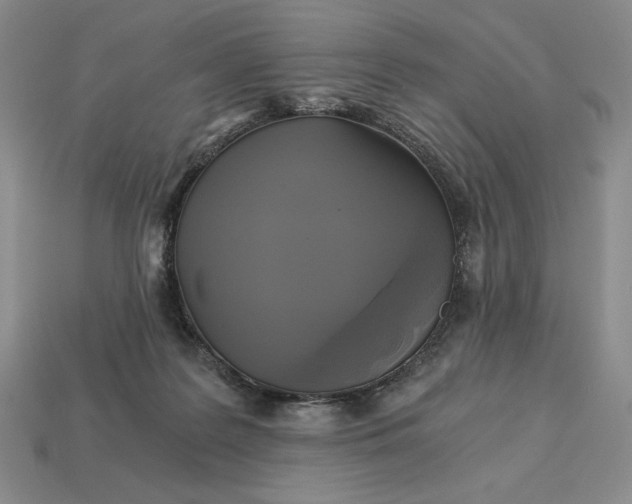 X0000113140219200909181736