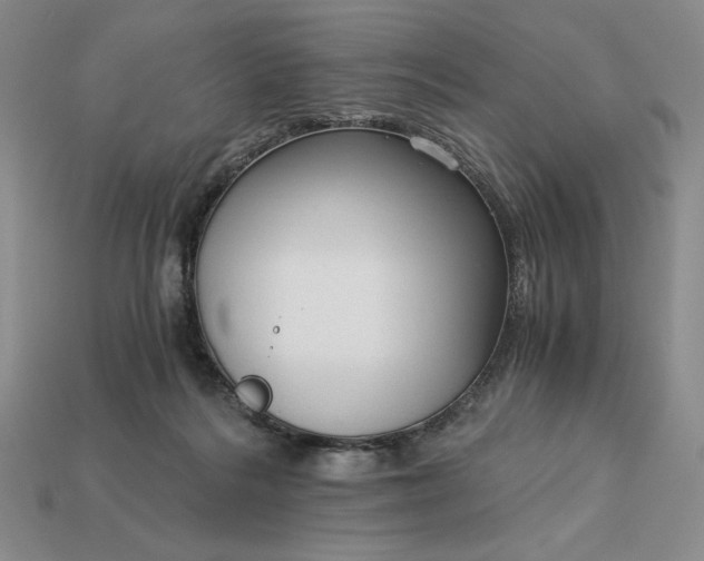 X0000113140220200909181736