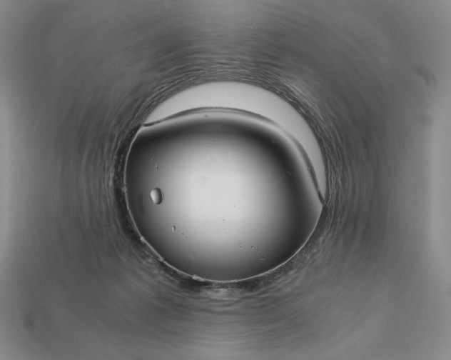 X0000113140221200909181736