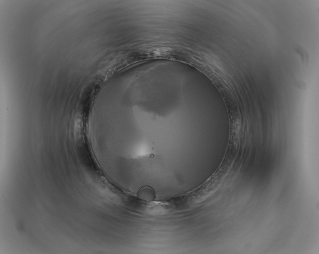 X0000113140222200909181736