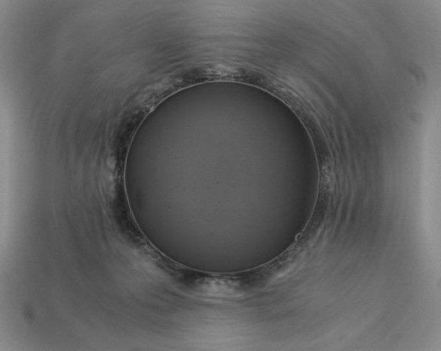 X0000113140223200909181736